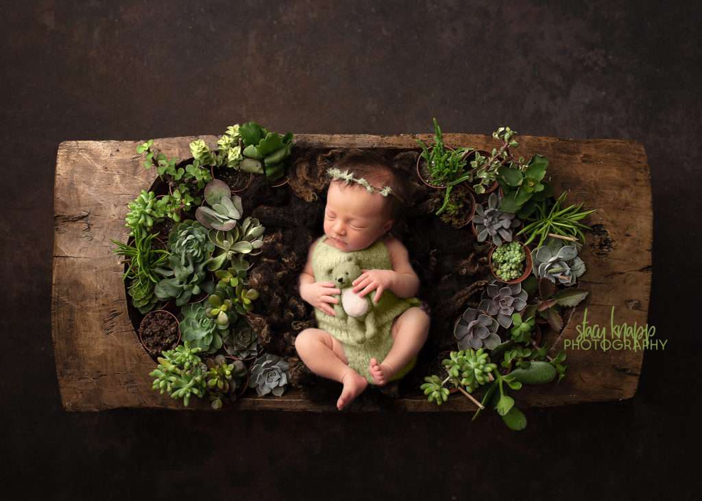 newborn baby girl photo of baby in nest of green plants