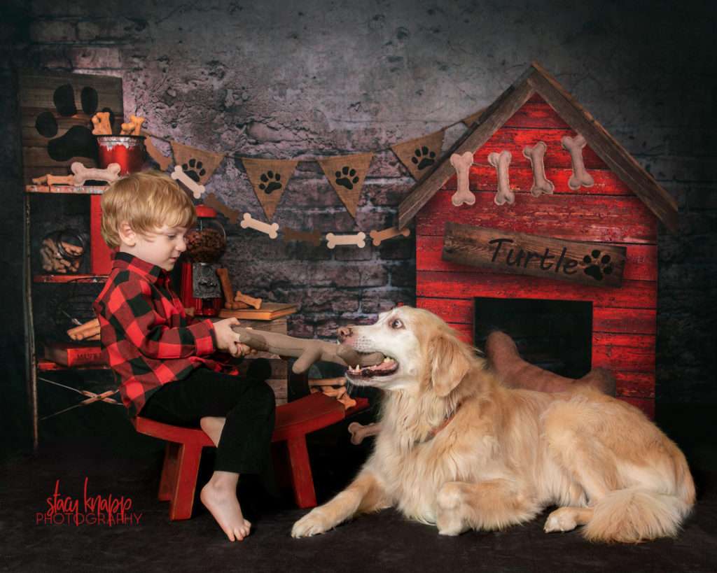 Toddler boy and his dog photographed together