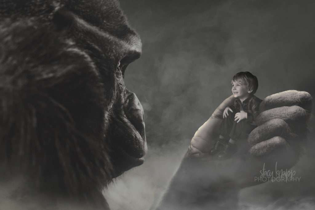 Gorilla composite photo with preschool boy