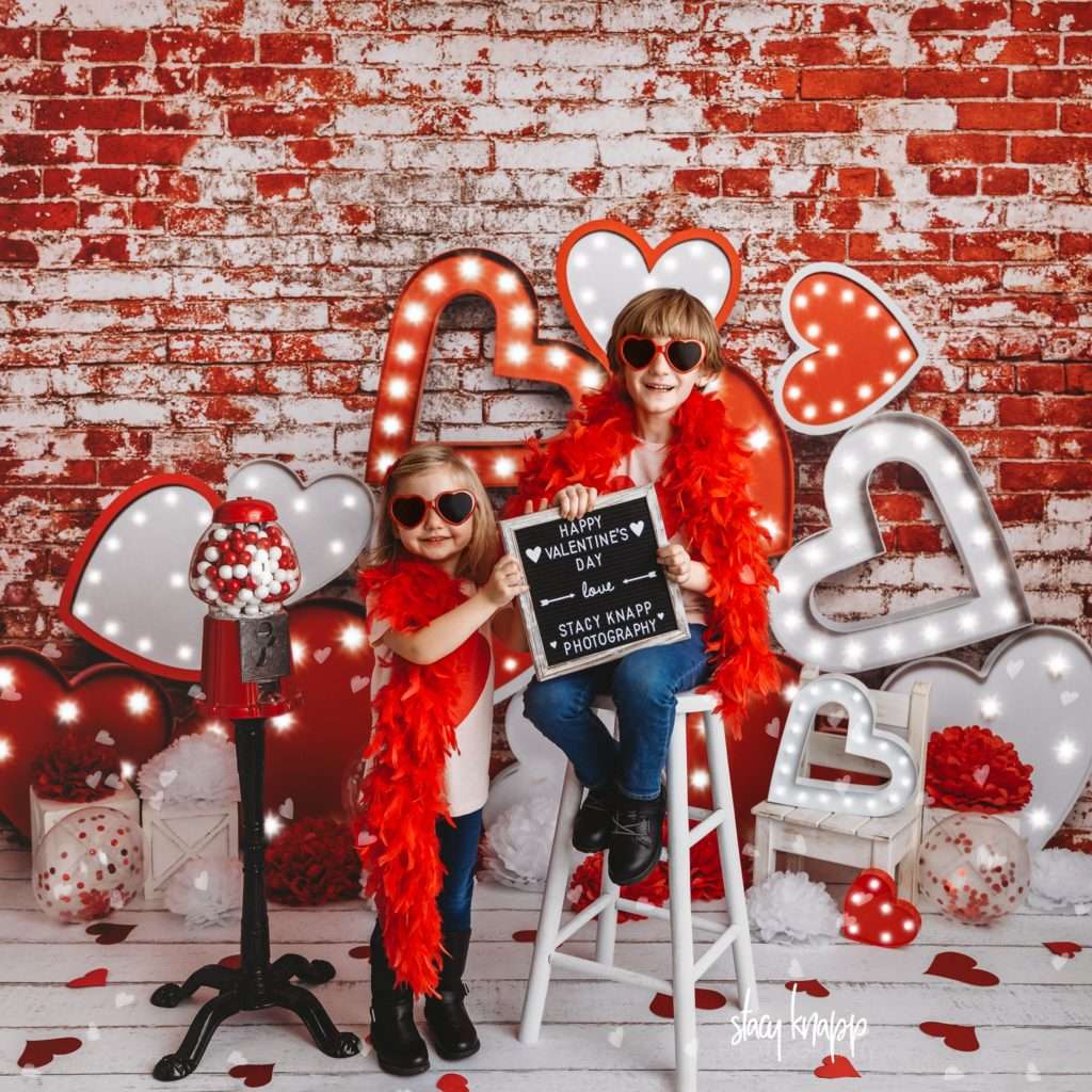 Brother and sister celebrating valentines day at Stacy Knapp Photography sister standing and brother sitting wearing boas and holding sign