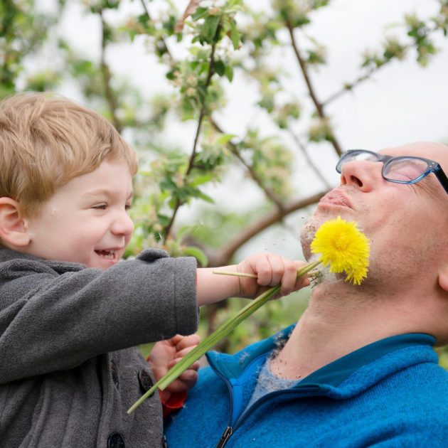 Preschool boy with dandelion in daddys face