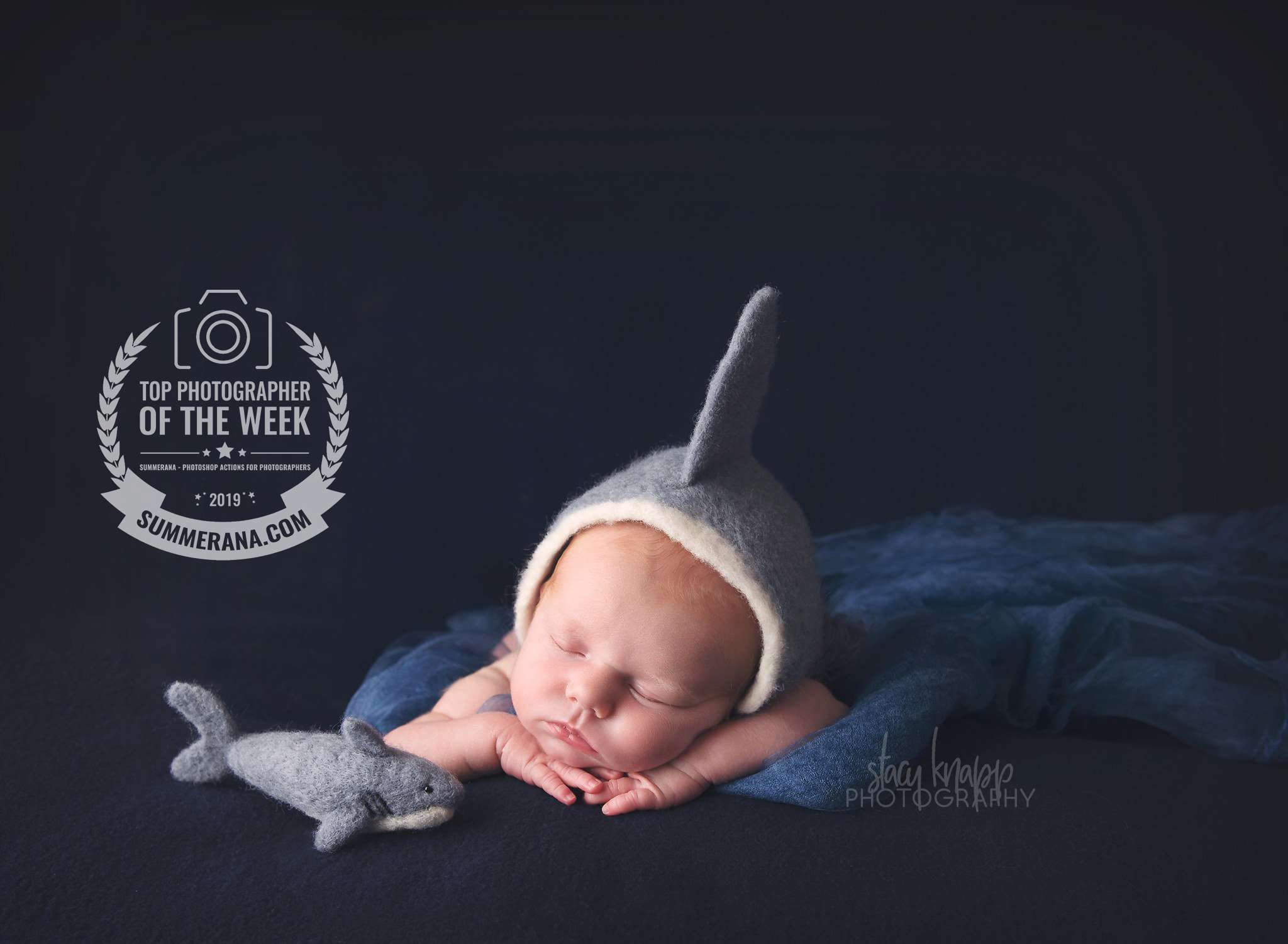 op Photographer of the Week - Newborn baby girl in shark outfit