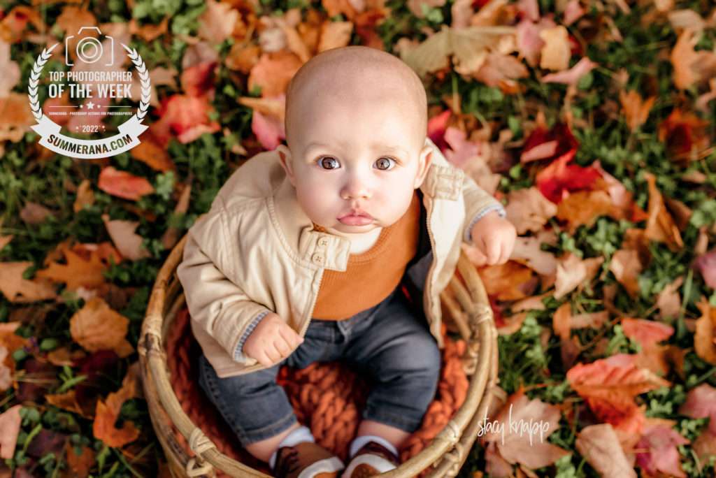 Award-winning photo of Maine baby boy in a basket in fall leaves by Maine baby photographer Stacy Knapp Photography