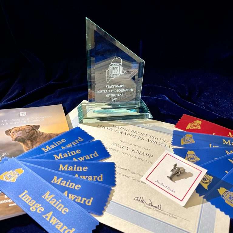 Awards Won by Maine newborn, baby, and maternity photographer Stacy Knapp Photography at the Maine Professional Photographers Association 2023 banquet including Maine Portrait Photographer of the Year, nine blue ribbons, one red ribbon, and the coveted Maine lobster pin!