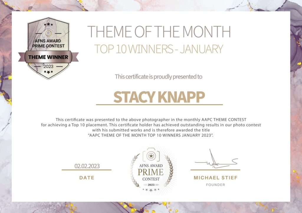 Stacy Knapp Photography certificate for winning AFNS Prime monthly theme contest for newborn and maternity photos