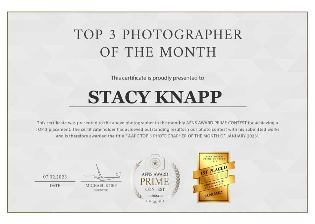Stacy Knapp Photography certificate for winning AFNS Prime Contest top photographer of the month for newborn and maternity photos