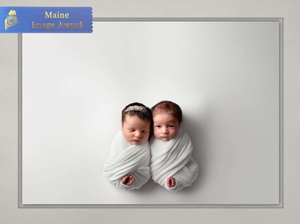 MPPA Maine blue ribbon merit award winning photo of Maine newborn baby twins wrapped in white by Stacy Knapp Photography