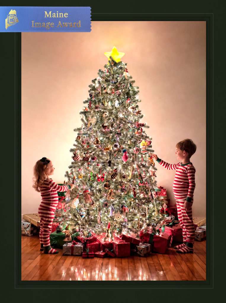 MPPA Maine blue ribbon merit award winning Maine Christmas photo showing two little kids standing by a Christmas tree by Stacy Knapp Photography